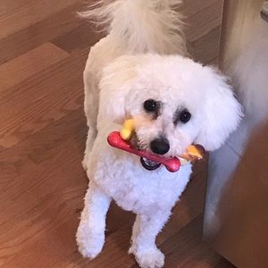 Meet your Posher, Laurie